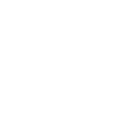 J.D.S Capital & Co.